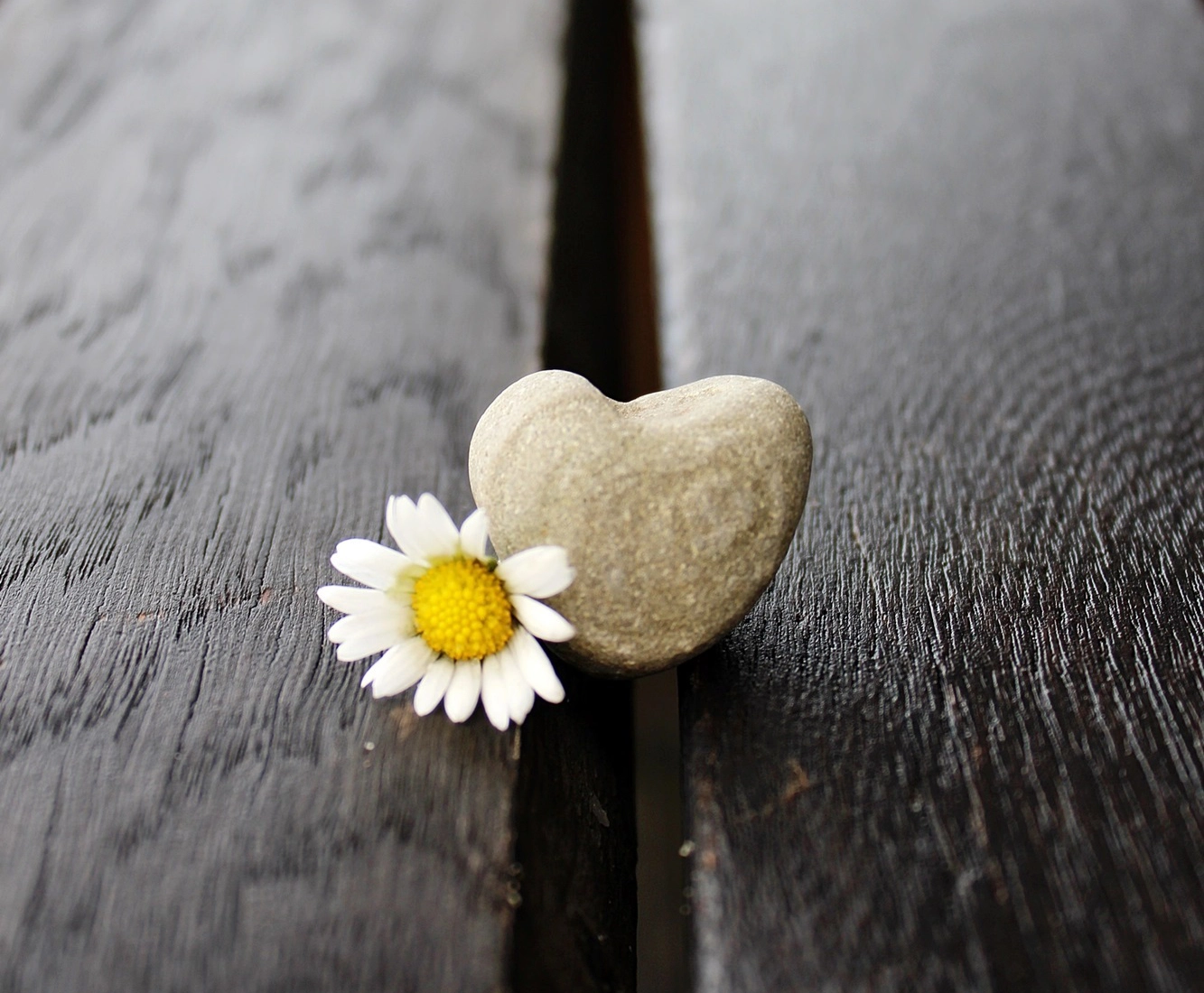 Grief Has No Timeline and That s Alright